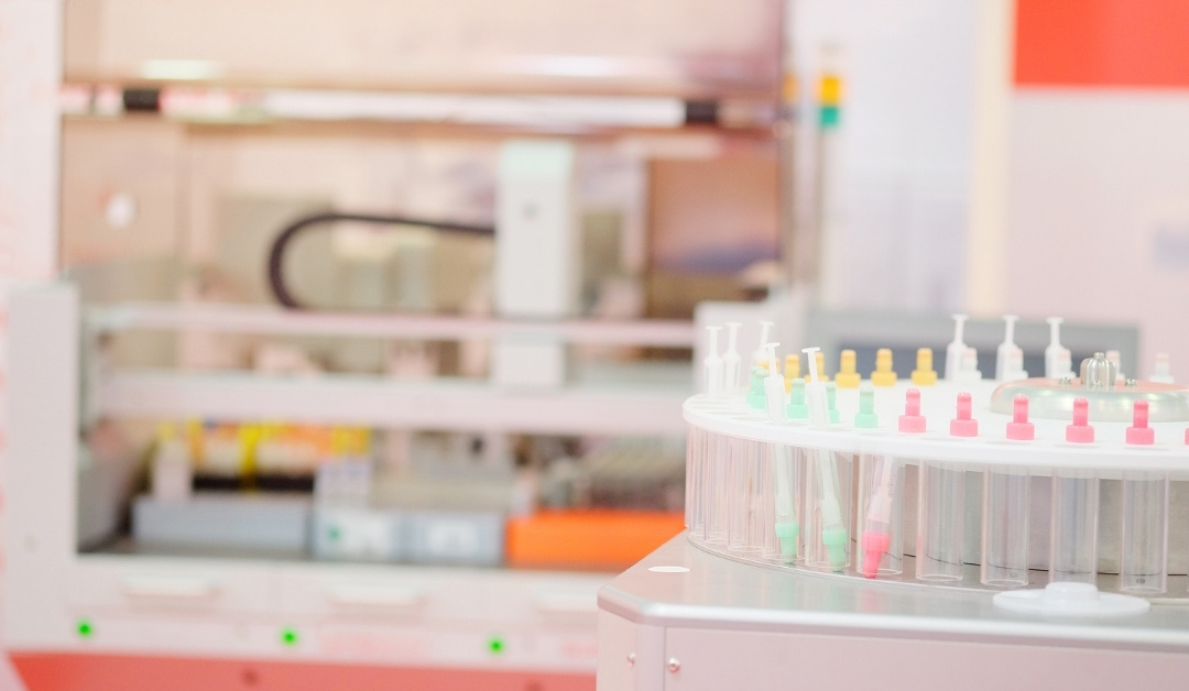 Lab,For Sale,1108