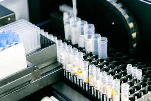 Texas, ,Lab,For Sale,1158