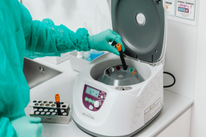 Texas, ,Lab,For Sale,1165 Texas, ,Lab,For Sale,1165