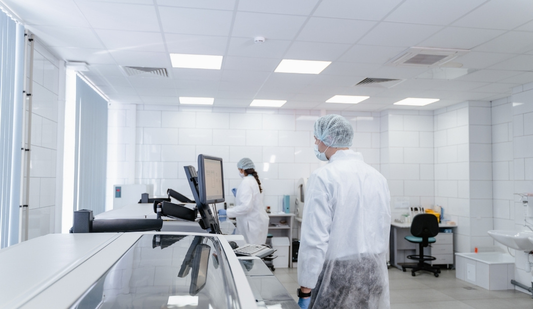 Texas, ,Lab,For Sale,1174