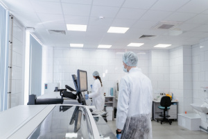 Texas, ,Lab,For Sale,1174 Texas, ,Lab,For Sale,1174