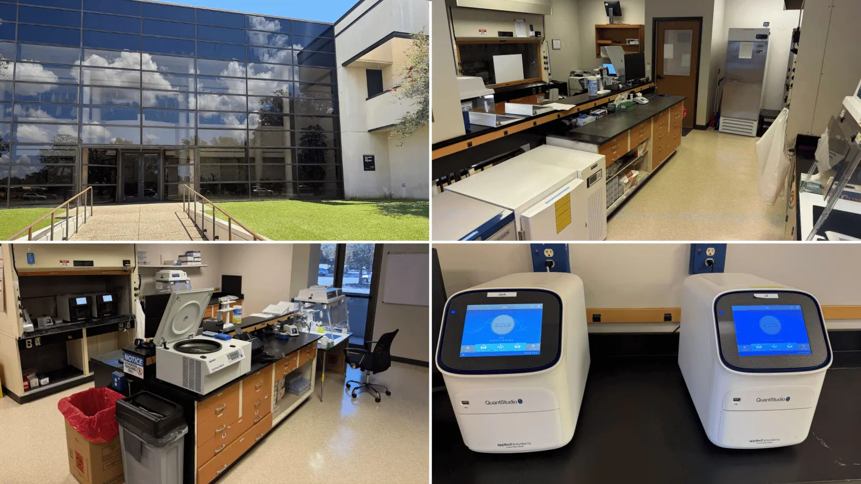 Louisiana, ,Lab,For Sale,1187